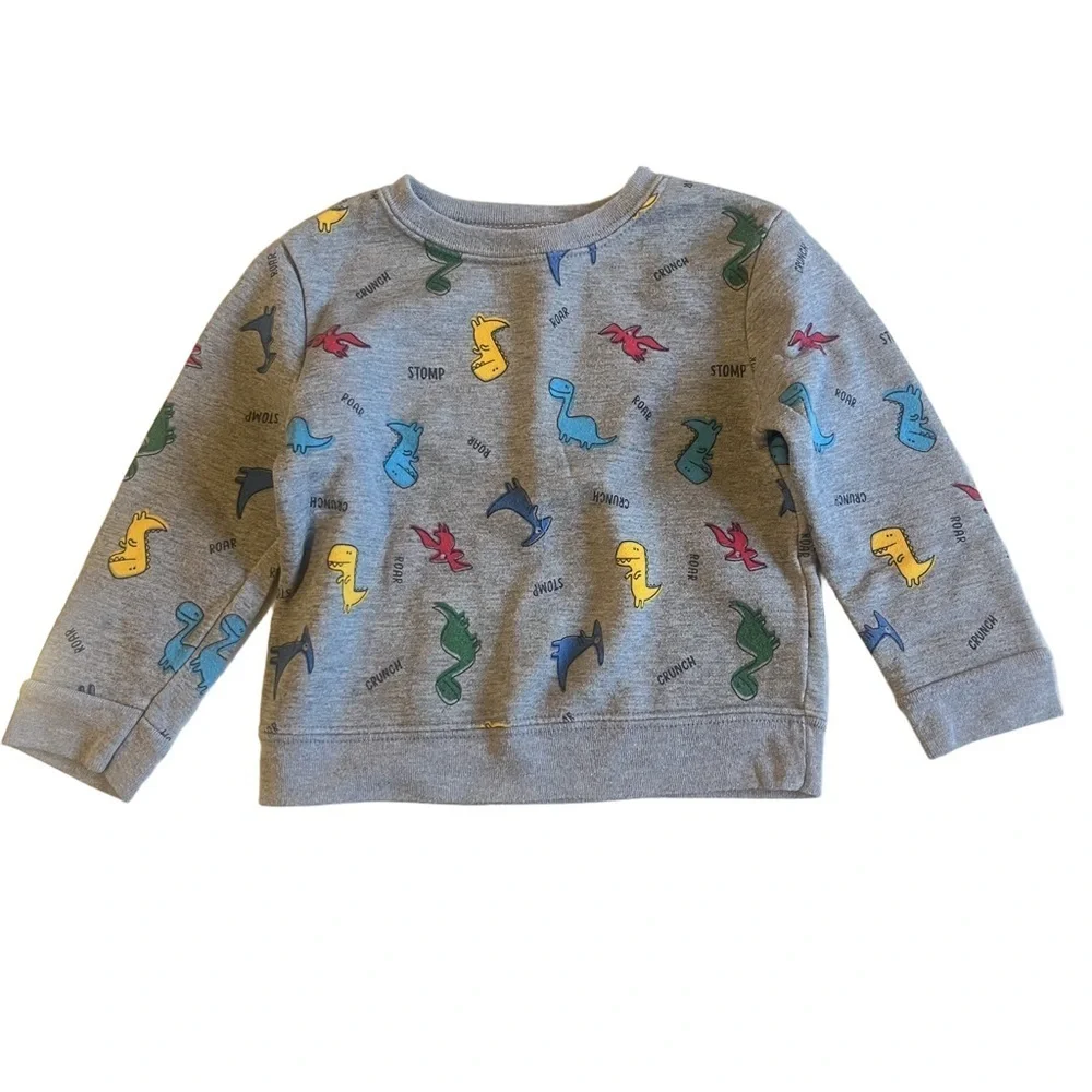 Garanimals Dinosaur and Bear 24 Month Fleece Lon Sleeve Sweater Tops Lot of 2_5